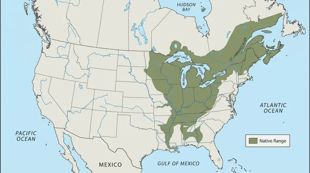 Map showing the Northern Map Turtle’s approximate range in southern Canada and the eastern and central United States.