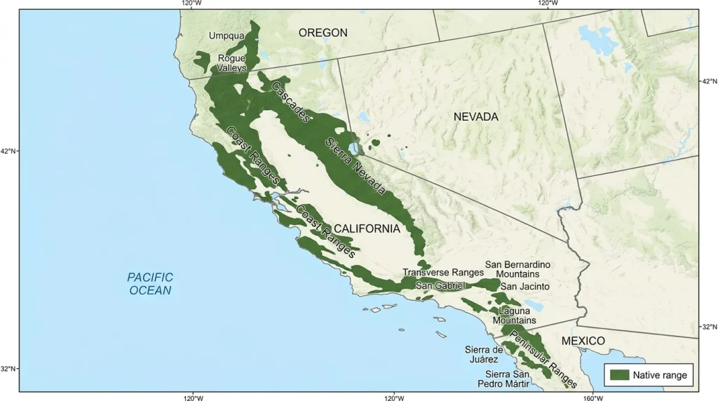 Map showing the native range of California black oak from Oregon through California to northern Baja California.