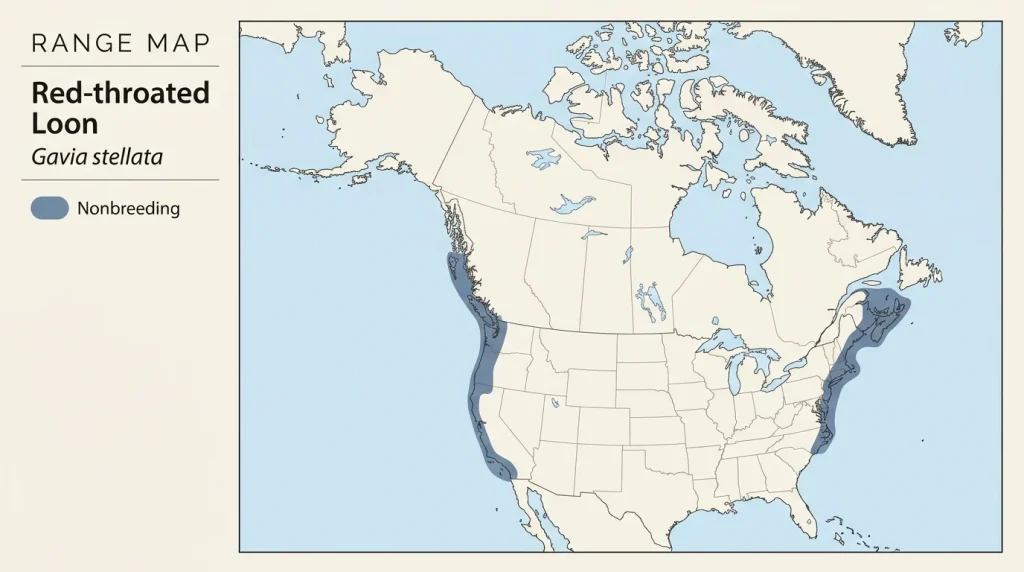 North American map of Red-throated Loon breeding, wintering, and migration areas.